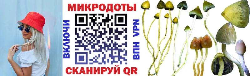 Псилоцибиновые грибы MAGIC MUSHROOMS  Ижевск 